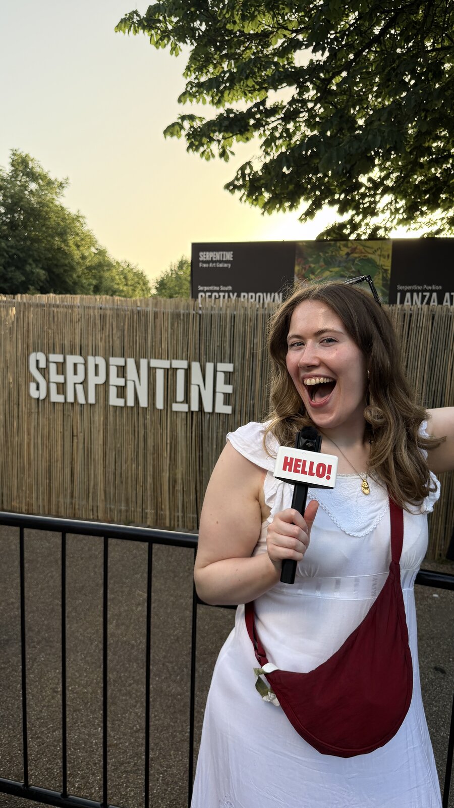 Megan Titterington on the media line at The Serpentine Summer Party